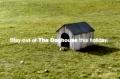 Stay Out Of the Dog House! Video